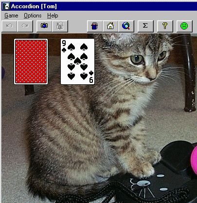 Accordion Ace